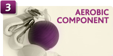 AEROBIC COMPONENT