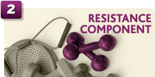 RESISTANCE COMPONENT